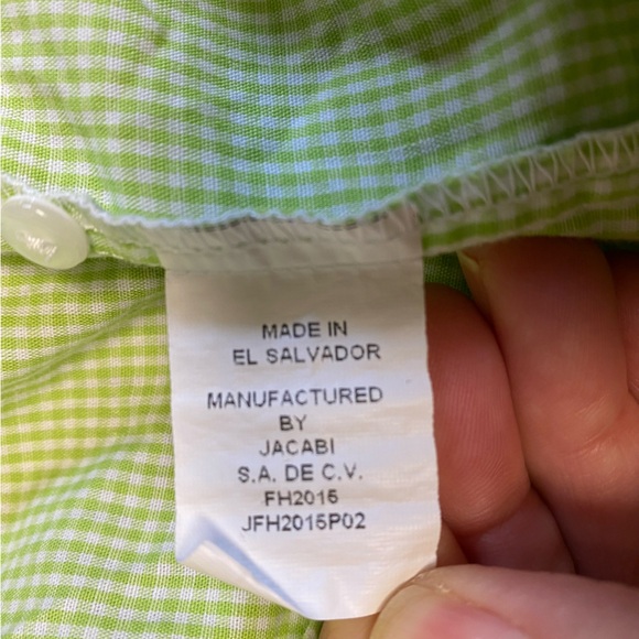 EUC PETIT BEBE GREEN GINGHAM DRESS WITH SMOCKED PUMPKINS - Picture 4 of 5